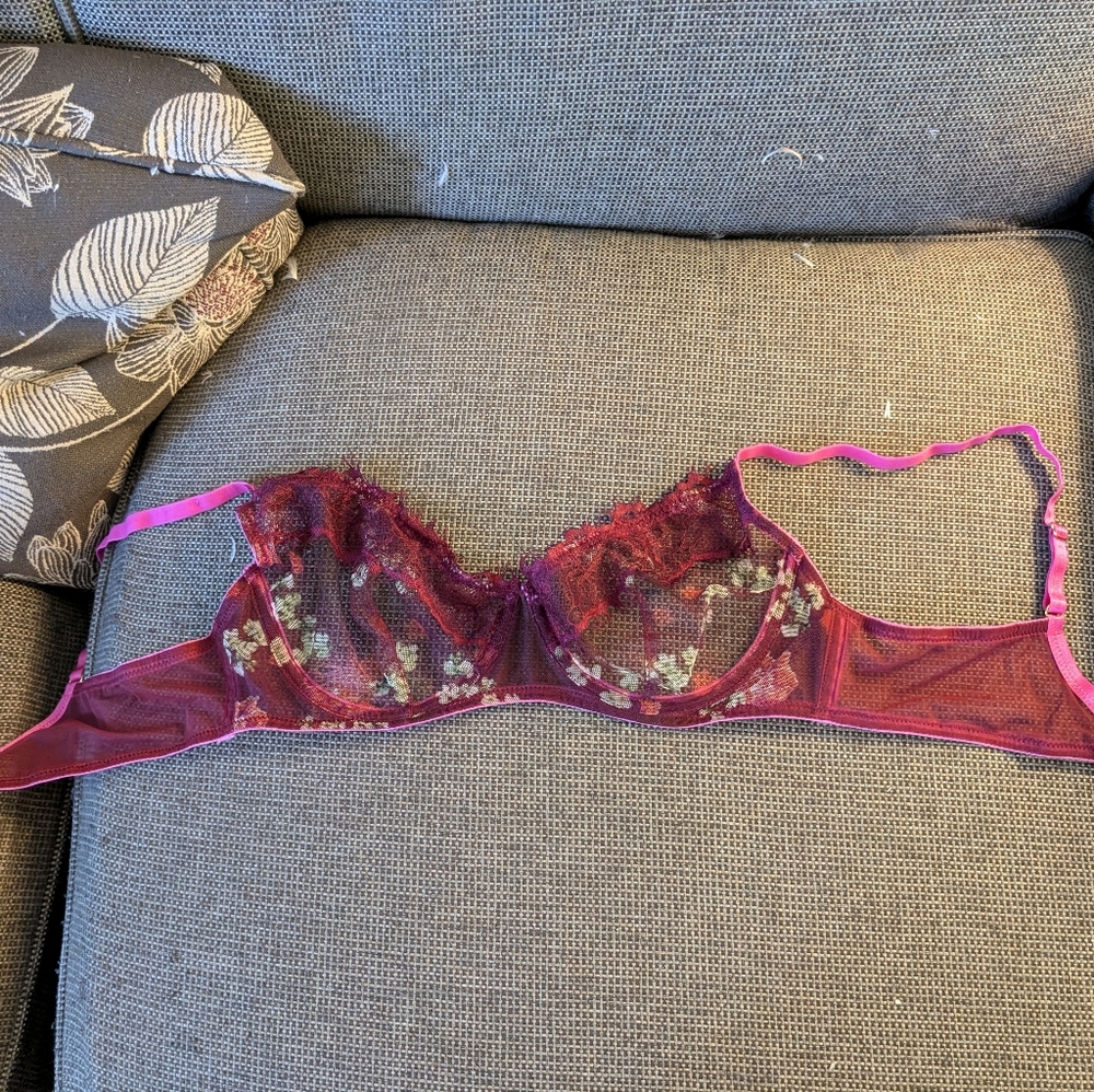 Wolf and Whistle 36c mesh underwire bra